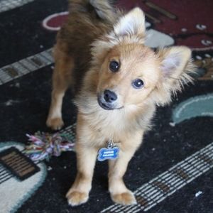 Meet your Posher, Cassandra